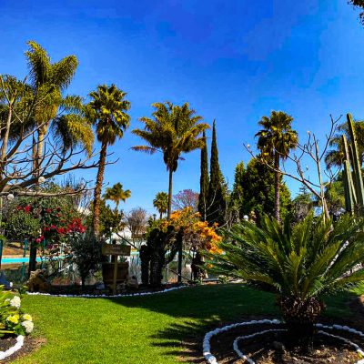 f29e7e33-12b2-4668-91c6-14a53389f836